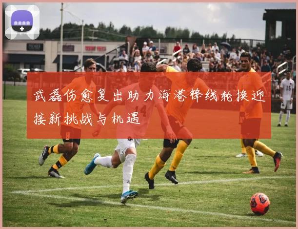 武磊伤愈复出助力海港锋线轮换迎接新挑战与机遇
