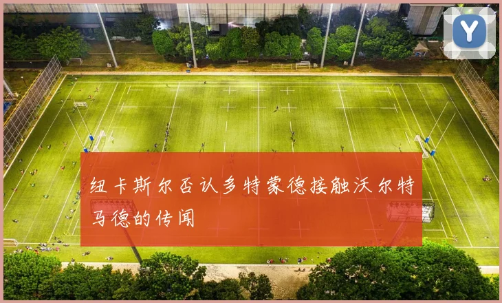 纽卡斯尔否认多特蒙德接触沃尔特马德的传闻