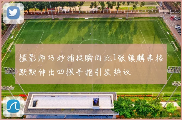 摄影师巧妙捕捉瞬间比1张镇麟弗格默默伸出四根手指引发热议